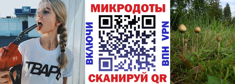 Псилоцибиновые грибы мицелий  как найти закладки  Кяхта 
