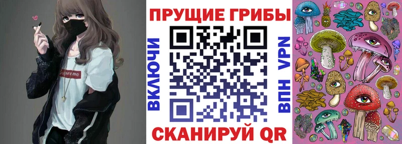 Псилоцибиновые грибы GOLDEN TEACHER Кяхта
